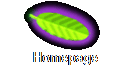 Homepage